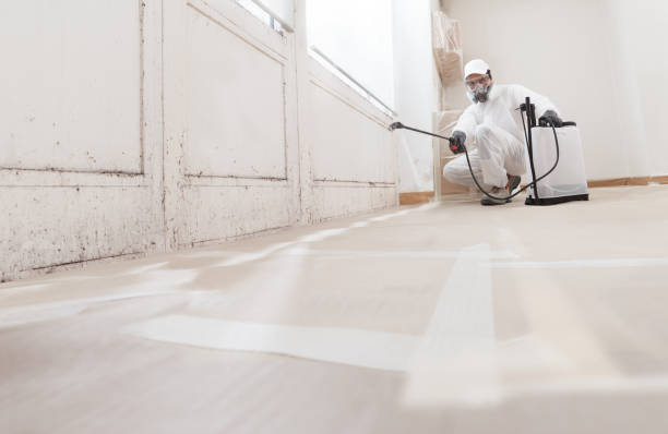 24/7 Emergency Mold Removal experts in Bristow, VA